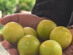 -田德能咖啡博物馆