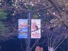 -金山公园