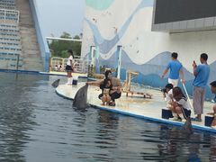 -北戴河圣蓝海洋公园