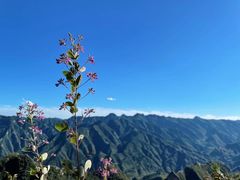 -圣莲山风景区