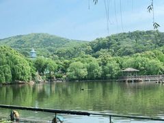 -无锡动物园·太湖欢乐园
