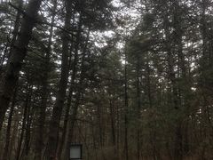 -帽儿山国家森林公园