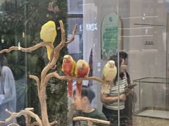 -瑞虹新天地月亮湾