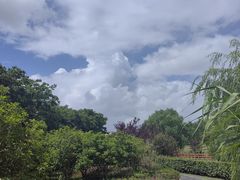 -九科绿洲