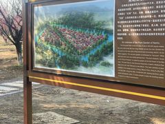 -南湖湿地公园