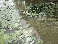 -漩门湾国家湿地公园