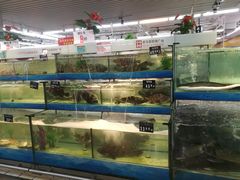 -泉州丰泽新华都百货(丰泽广场店)