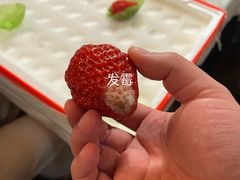 -西郊国际农产品交易中心