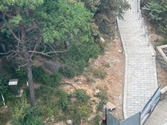 -崂山仰口游览区