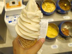 -溪边姑娘·拉丝酸奶水果捞(春熙路店)