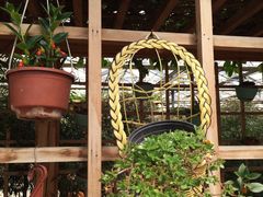 -万源龙顺度假庄园生态观光园