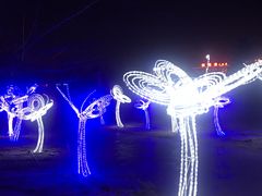 -长春公园(普阳街道)