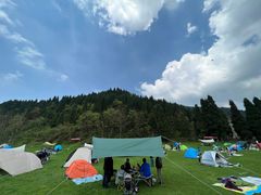 -武陵山森林公园