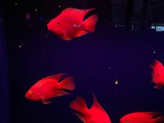 -柒Lounge(三里屯店)