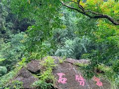 -黄满寨瀑布