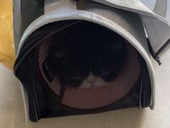 -瑞派福兴宠物医院犬猫全科·骨科·中西医结合(河东店)