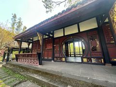 -桂湖森林公园