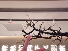 -老鸭集(金沙龙湖天街店)