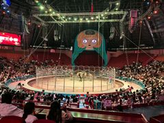 -俄罗斯国家大马戏团