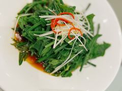 白灼洋丝瓜尖-马旺子酒楼