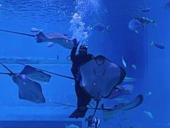 -日照世帆赛基地