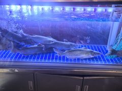 -川正旺江湖菜(三元桥店)