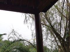 -咸宁万豪温泉谷度假区