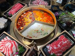 -湊湊火锅·茶憩(南京东路悦荟店)