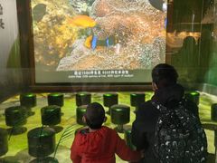 -中国湿地博物馆