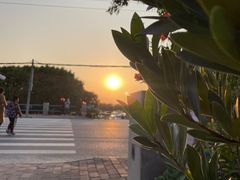 -大湾区中央湿地公园
