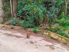 -黔灵山公园