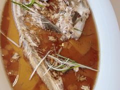 -丹江渔村(望京店)