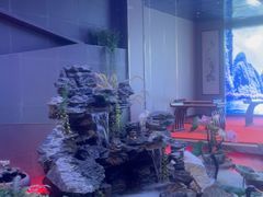 -陆琴脚艺·足浴·SPA(夫子庙店)