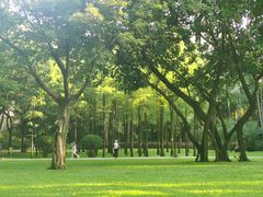 -晓港公园