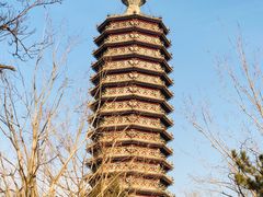 -西海子公园