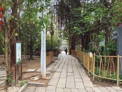 -小洲村