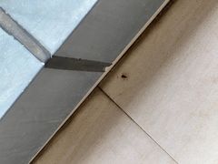 -上海南汇嘴大堤酒店