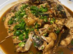 -全乐鱼馆·淳牌有机鱼直营店