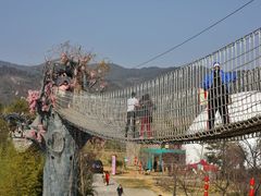 -天适樱花悠乐园
