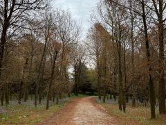 -上海海湾国家森林公园