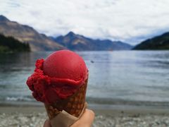 -Patagonia Chocolates(皇后镇店)