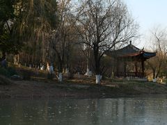 -堤角公园