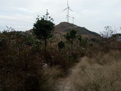 -东白山
