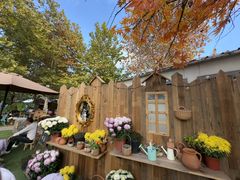 -HERRE·FARM 赫尔露营农场·团建聚会包场