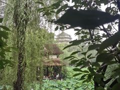 -桂湖森林公园