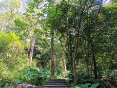 -火炉山森林公园