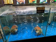 -蟹之国·精品蟹料理(极地店)