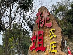 -桃姐农庄老字号(从化温泉店)