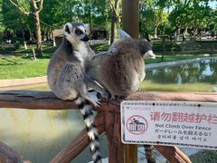 -上海野生动物园