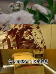-帝迈造型